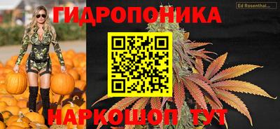 индика Кулебаки
