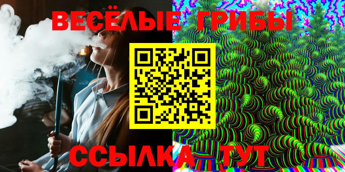 Псилоцибиновые грибы Psilocybe Жигулёвск